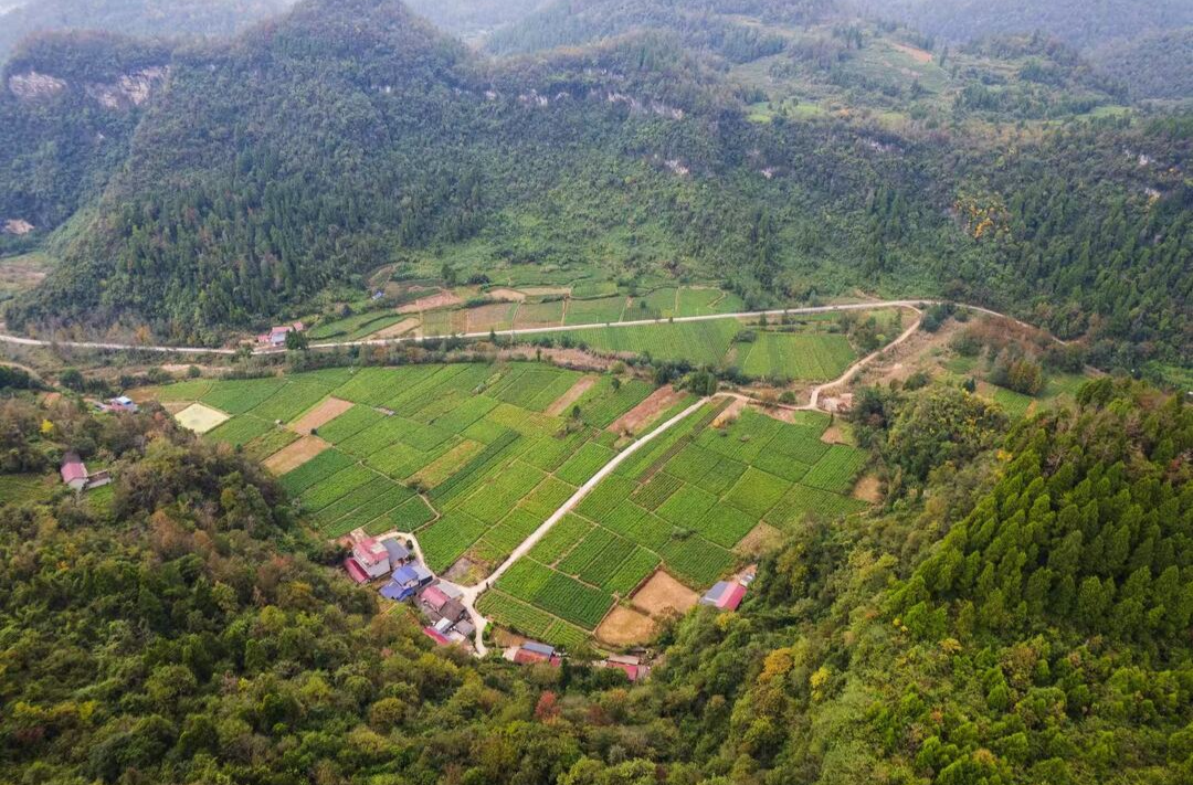 金融活水穿林入谷 发展万象拔节而上——建行张家界市分行精准服务区域经济高质量发展一线观察