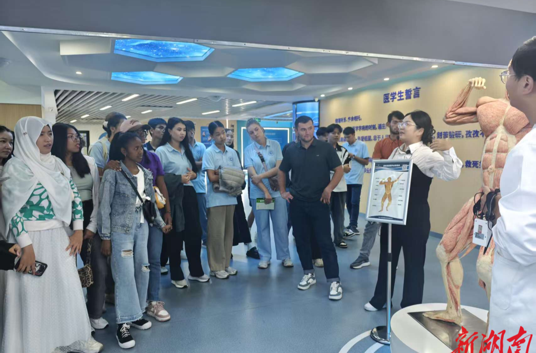 常德职院生命科学与健康教育馆迎19国留学生 沉浸式体验生命奥秘与急救技能