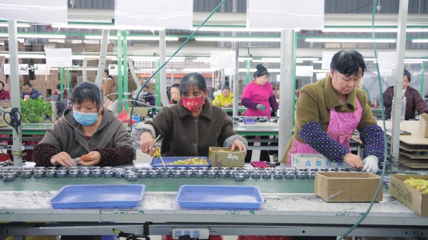 “十四五”期末考试民生答卷来了⑮｜车间建在家门口 务工不用往外走