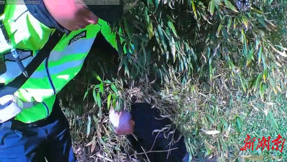 “赶紧上来，身体要紧！” 酒驾男子躲进水沟，大通湖交警喊话：先回家换衣再接受处罚