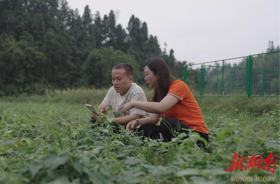 八年深耕，“九强”赋能，解锁产业振兴路