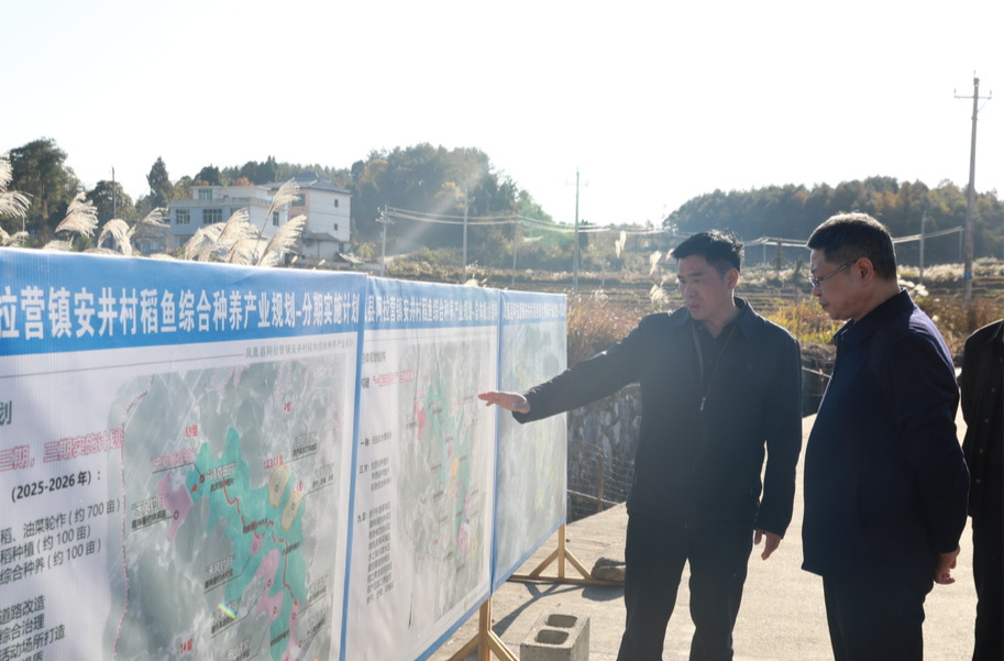 省教育厅总督学黄智勇赴凤凰安井村调研乡村振兴衔接工作