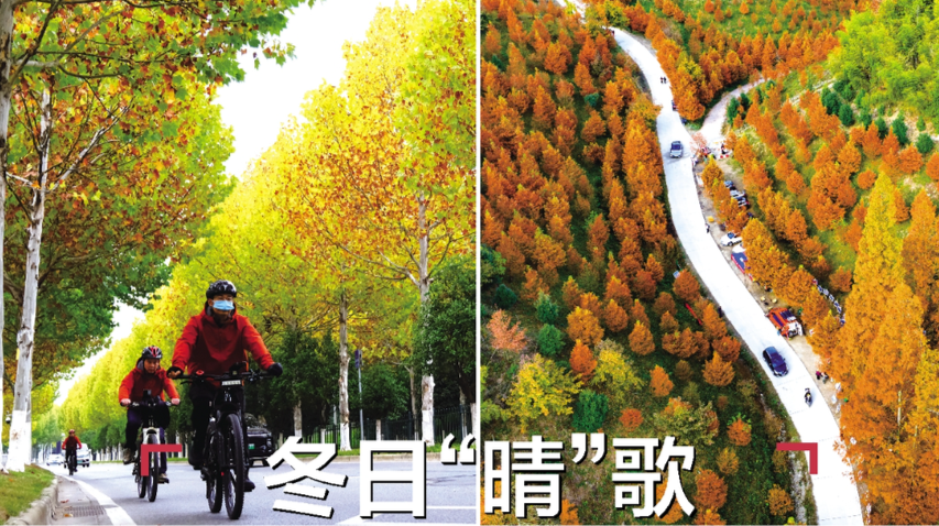 读报|11月24日《三湘都市报》版面速览