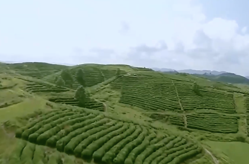 【新思想引领新征程·非凡“十四五”】扎实推进乡村建设 绘就和美乡村新画卷