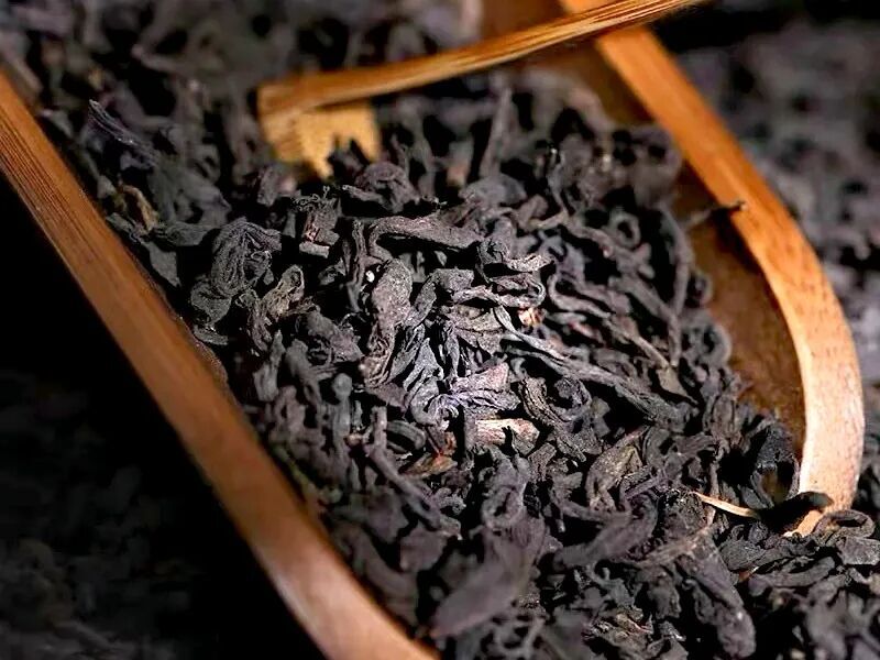 一杯干净黑茶：匠心坚守与品饮初心