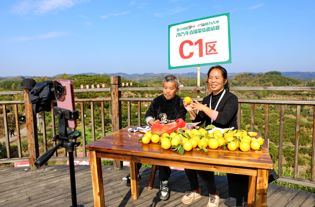 “悯农姑娘”龙四清——61岁，正是闯的年纪！