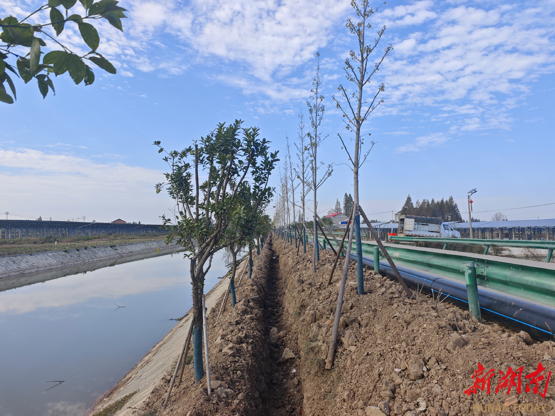 从“有水喝”向“喝好水”转变！金盆镇供水管网延伸工程全速推进，将惠及近2万人