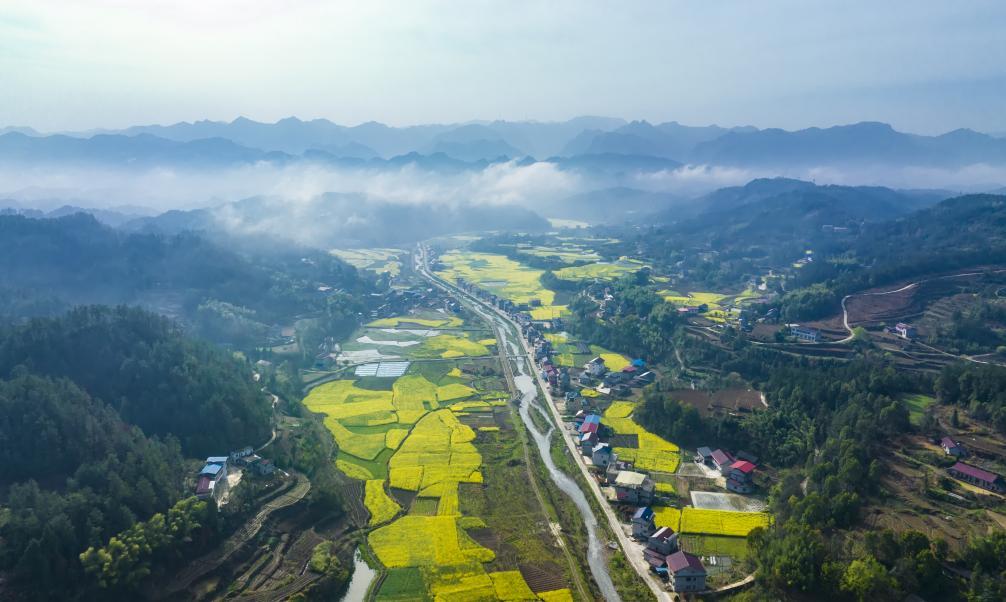 非凡“十四五”五年答卷① │深耕沃野结硕果，乡村振兴踏浪行——慈利县农业农村发展纪实