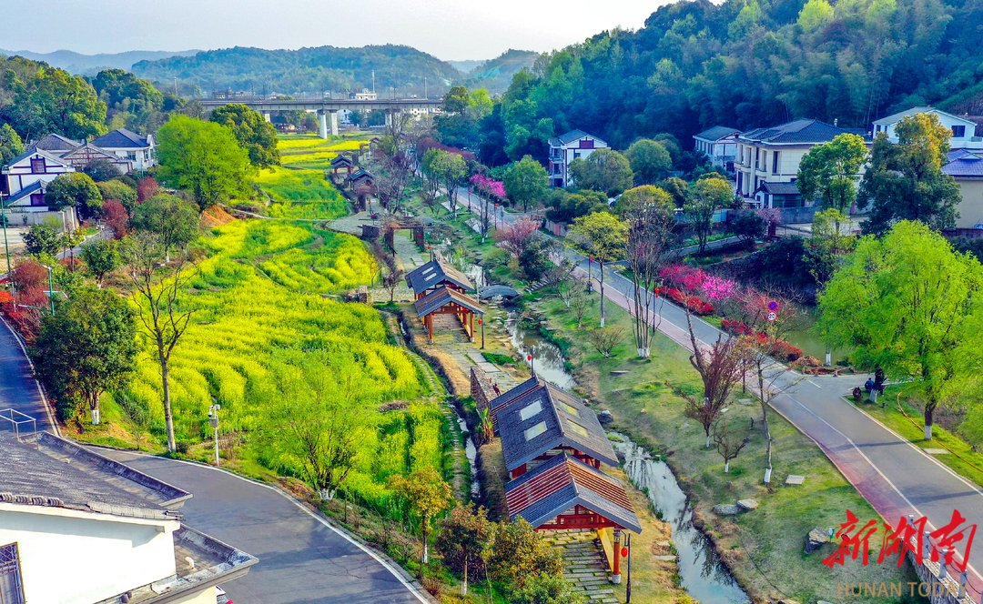 满村书香，八方客来！益阳清溪“文学+文旅”迈向新阶段|湖南日报市州头条