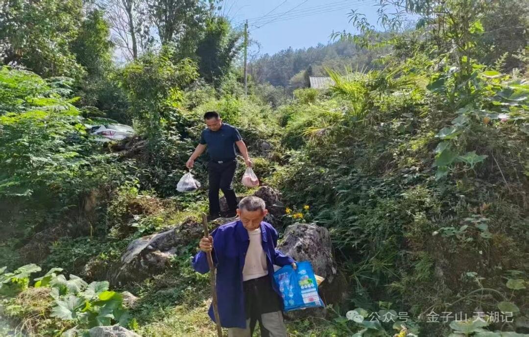 山路弯弯展新颜 乡村蝶变映初心——省委党校驻村工作队助力金子山村振兴纪实