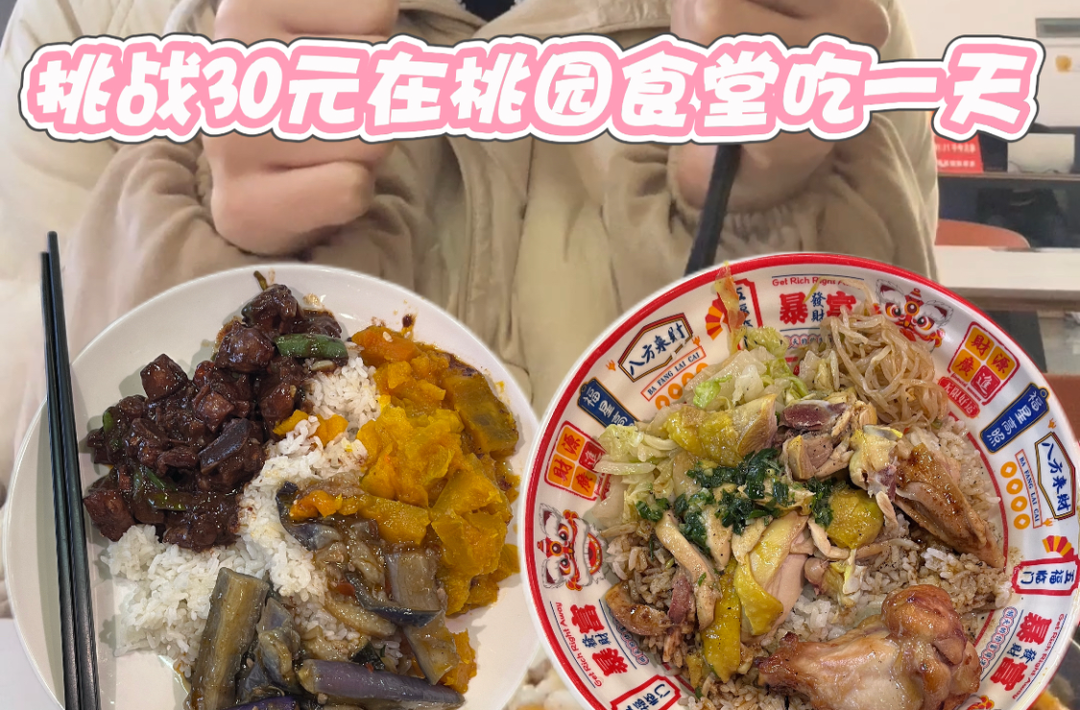 湖南高校“干饭”攻略丨挑战30元在湖南科技学院桃园食堂吃一天