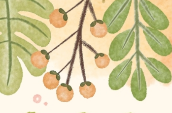 5天假期！湖南一地率先实行秋假