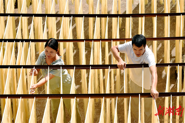 Lanshan County Boosts Traditional Industry