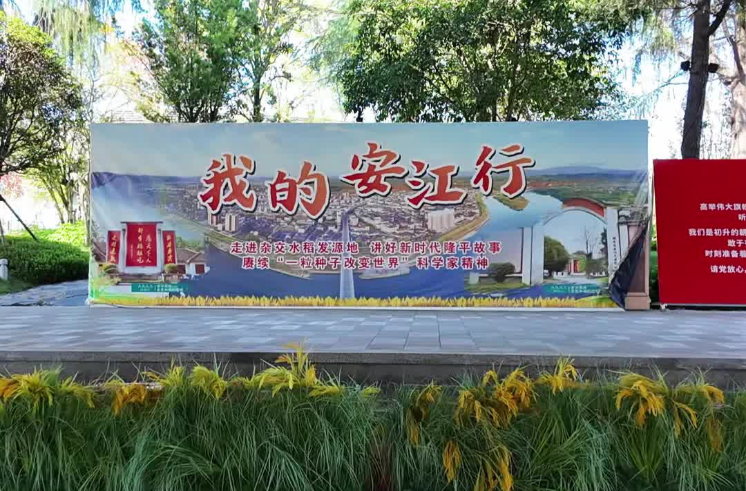 视频｜怀化创新思政教育模式  “我的安江行”让4.3万学子在“行走的课堂”中成长