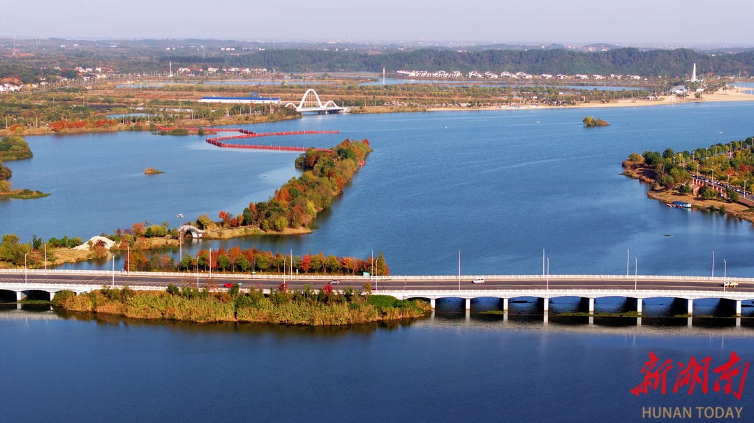 遇见·柳叶湖 | 夕阳浸润水杉，罗湾大桥边，暮色好浪漫