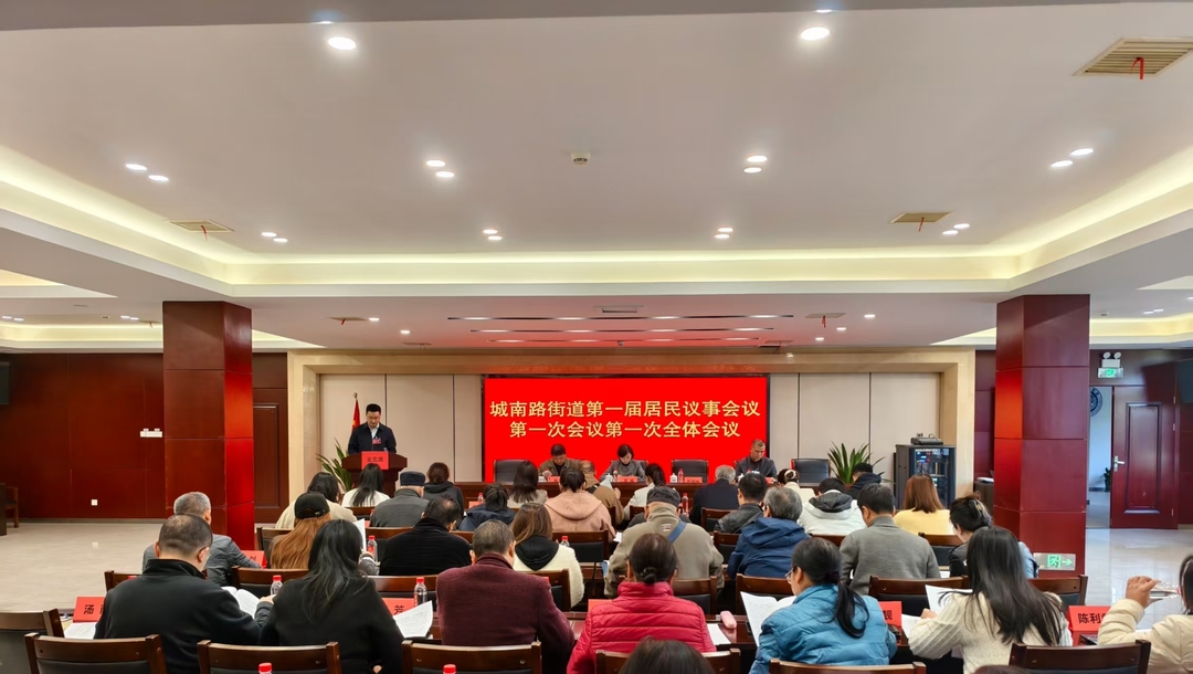 天心区城南路街道首届居民议事会开启基层民主新实践