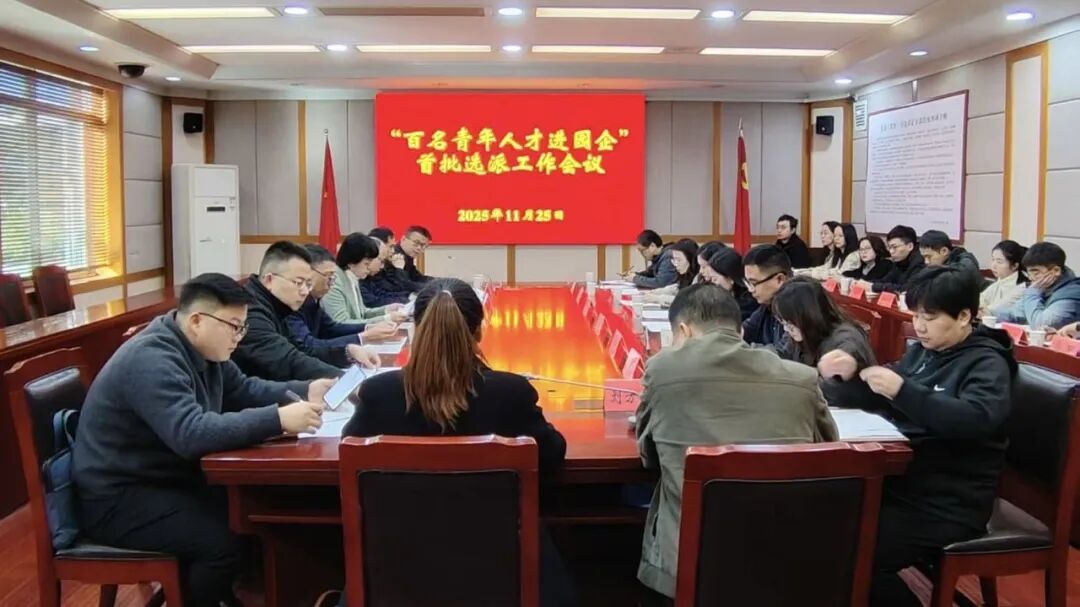青春力量促发展，岳阳百名人才进园企