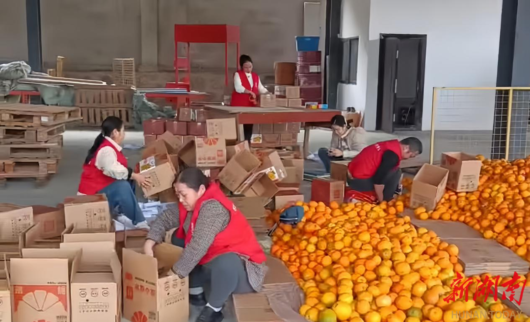 辰溪县：爱心义卖搭桥梁 志愿服务助橙香