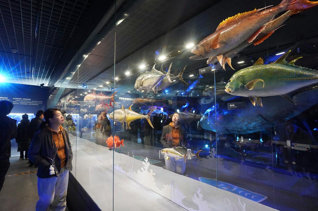 一鲸落，万物生！在国家自然博物馆开启“鲸·奇”之旅