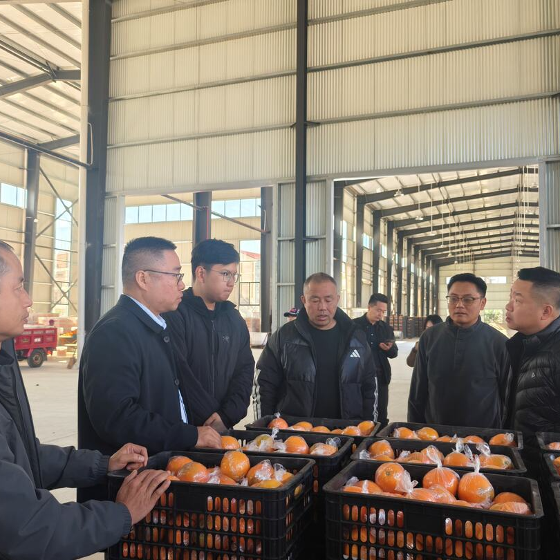 雨溆再携手，产销对接赋能乡村振兴