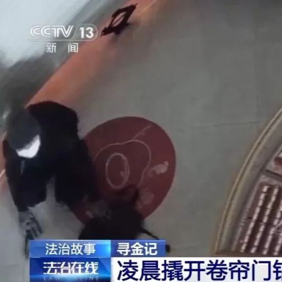 判了！岳阳一地百万元黄金被盗，2分钟狗叫声成破案关键！