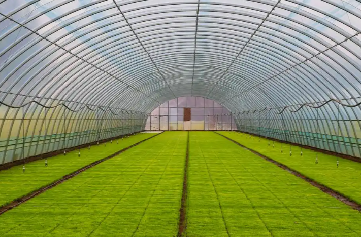 育秧大棚无农闲，种瓜种菜多挣钱——湖南多地走出“一设施多用途”经营新路子