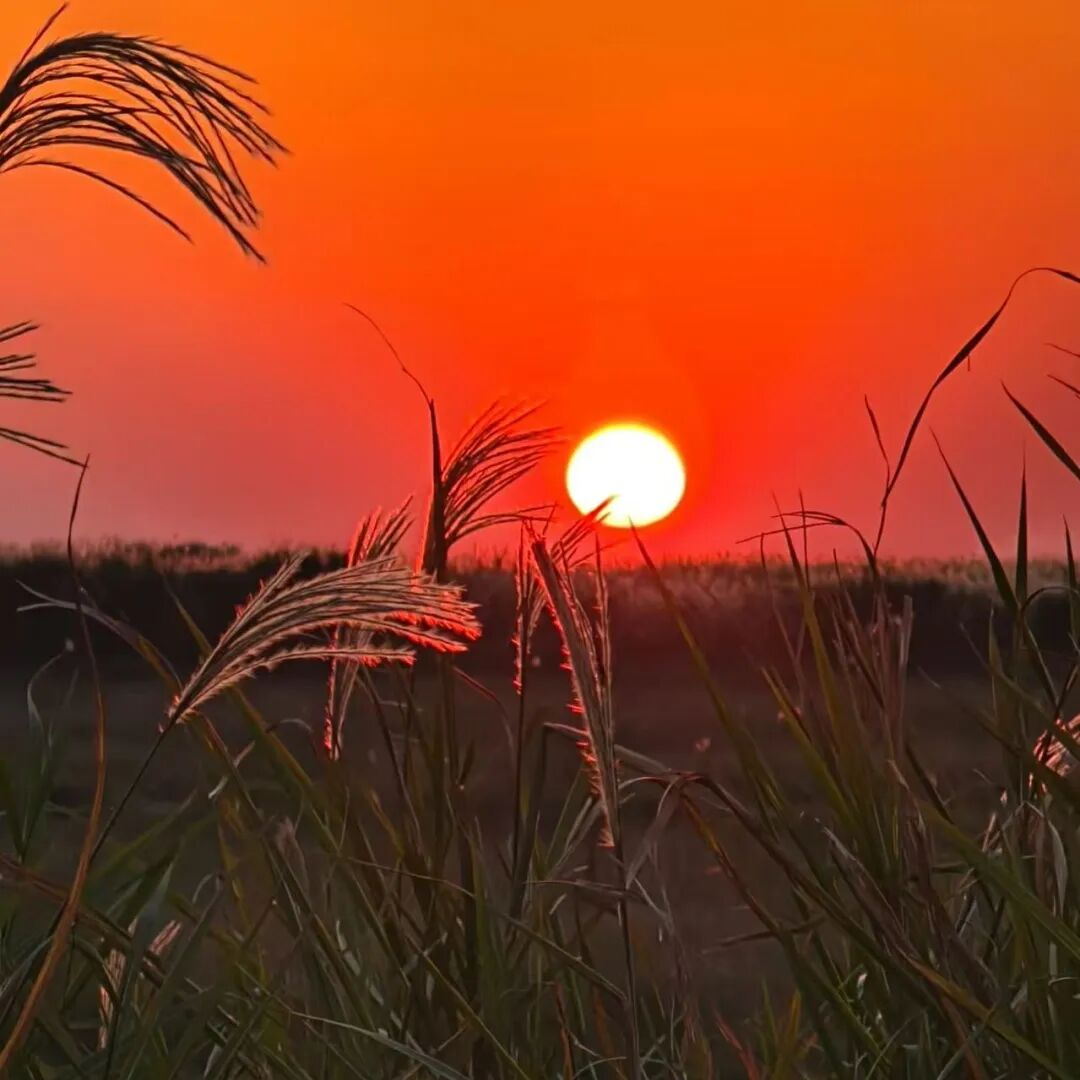 岳阳人家门口的“国际大展”！12月6日启幕，错过等两年！