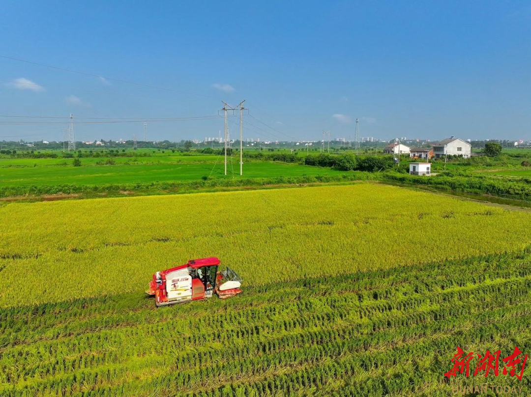 屈原管理区：“三线一单”绘就绿色发展新画卷