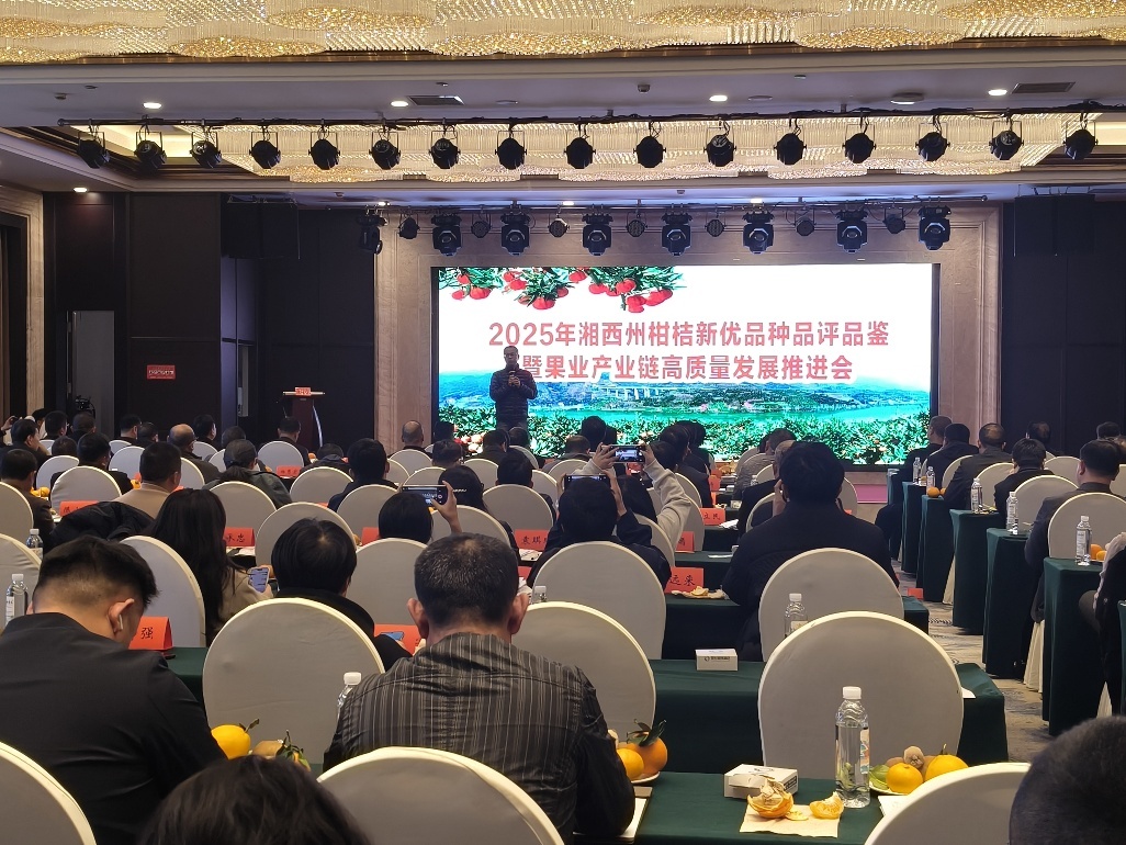 湘西州按下特色果业全产业链建设加速键