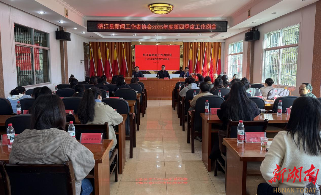 桃江2025年“年度好新闻”揭晓，30件优秀作品获表彰