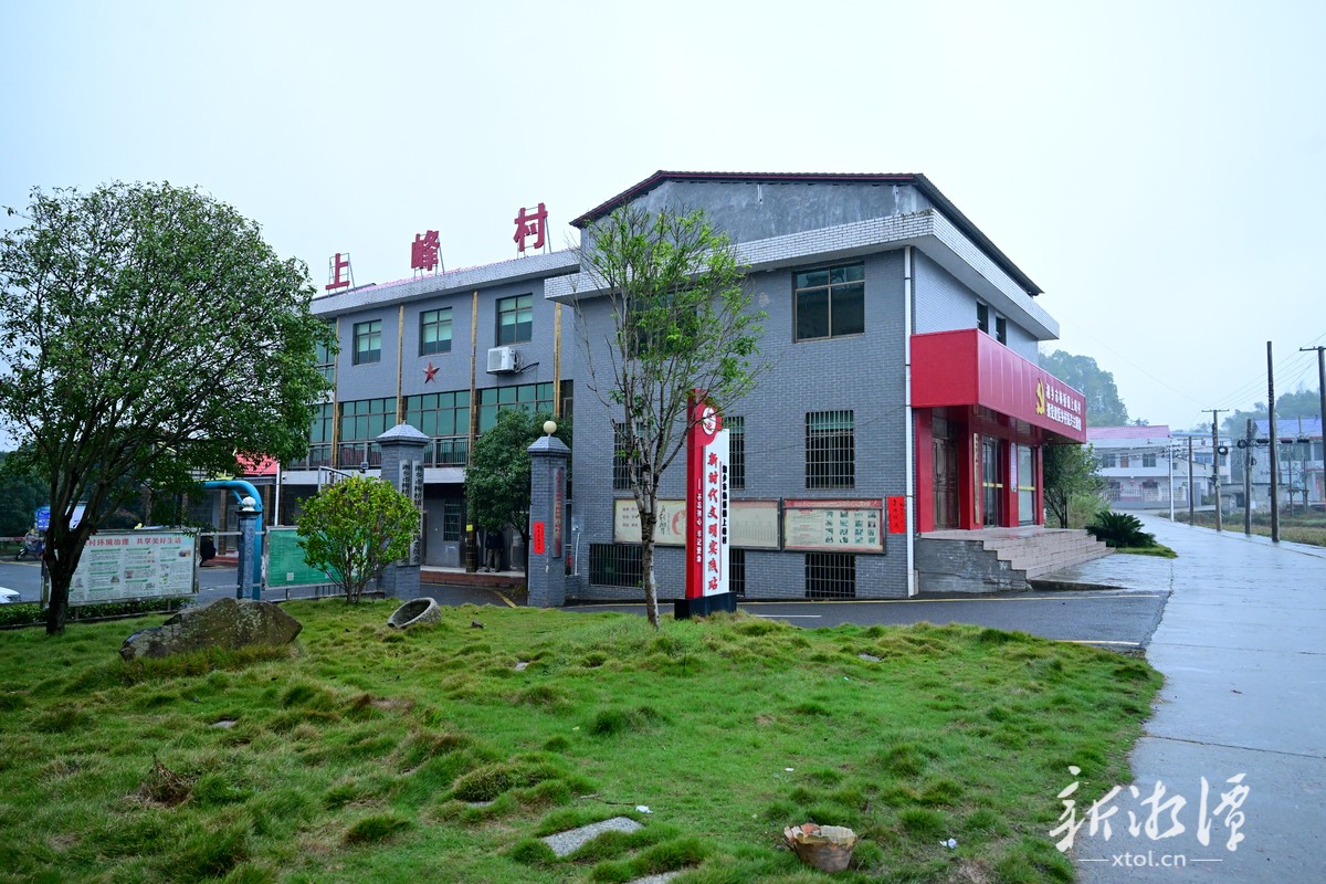 我爱湘潭我的家丨古树见证破茧新生：上峰村书写由乱到治的文明答卷