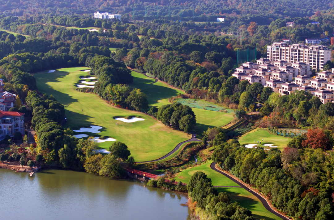 “景超”看双牌——满村尽披黄金甲@湖南日报要闻版