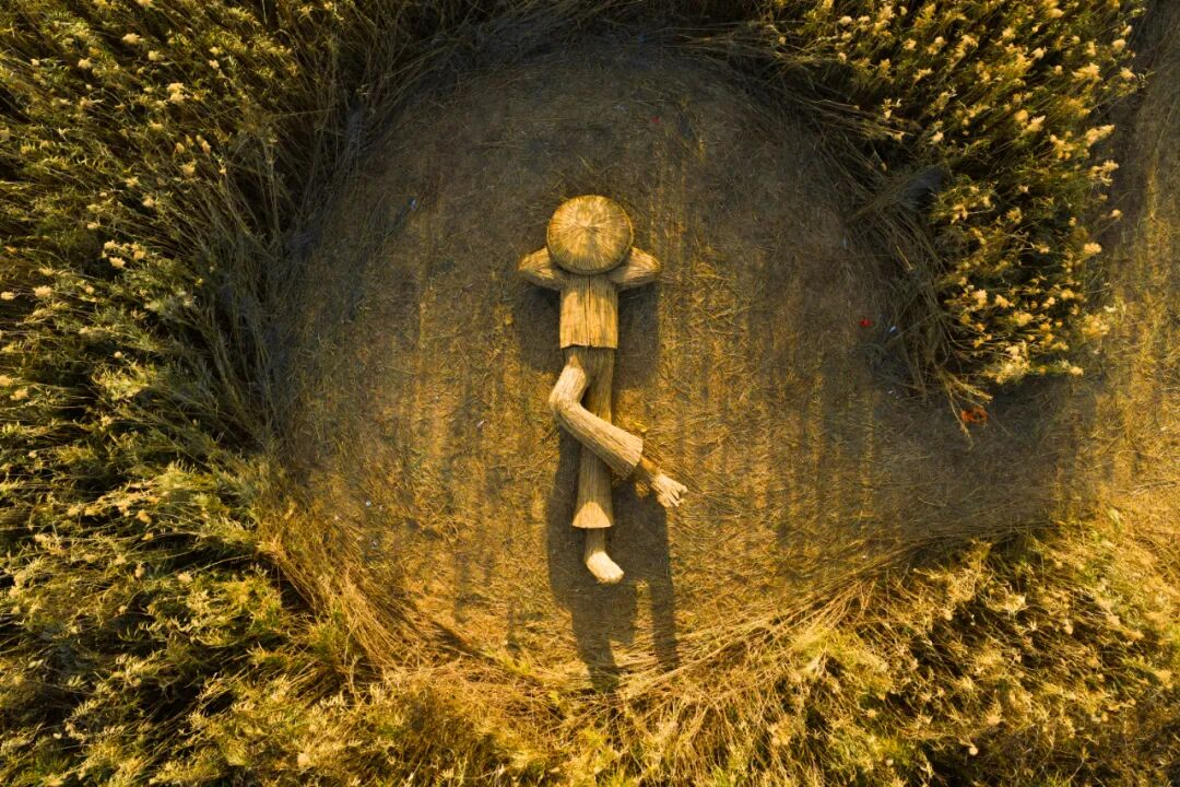 第三届天下洞庭国际芦苇艺术季即将开幕