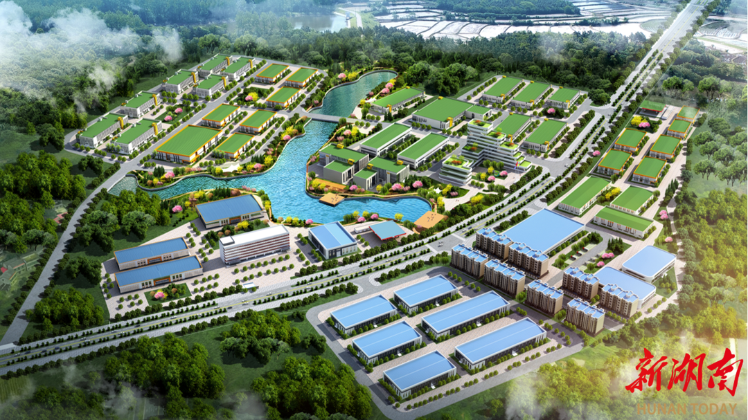 打造“湘菜第一县”  衡东县如火如荼建设土菜产业加工集聚区