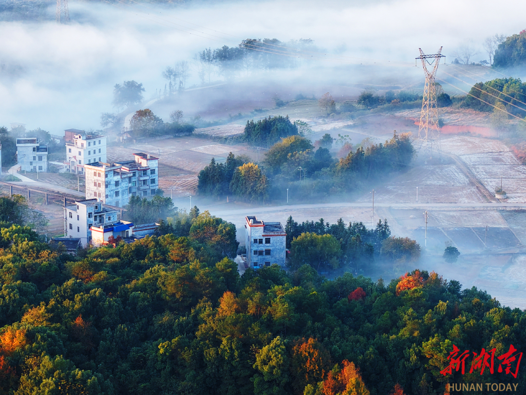 雾漫乡村景色美