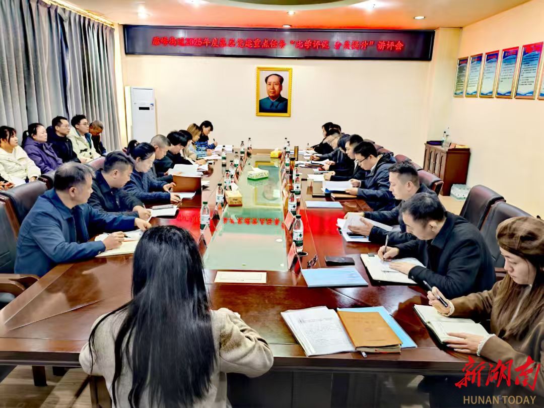 党建引领赋能基层治理，雁峰街道开展“比学评促 分类提升”活动