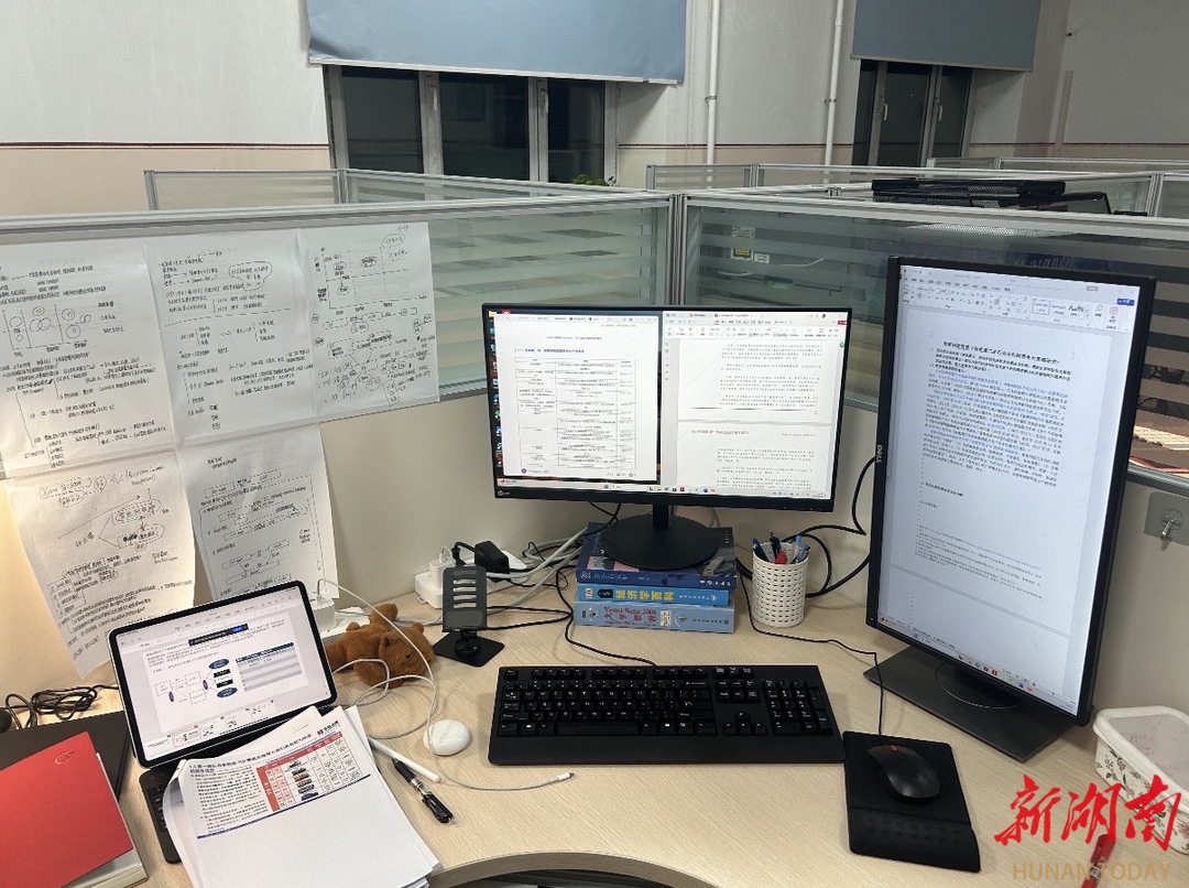 高校“青椒”之困：在荣耀光环与现实重压之间