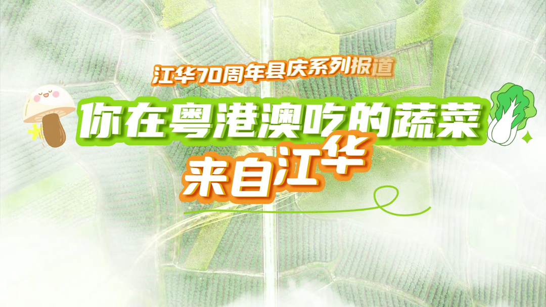 江华70周年县庆系列报道：你在粤港澳吃的蔬菜来自江华