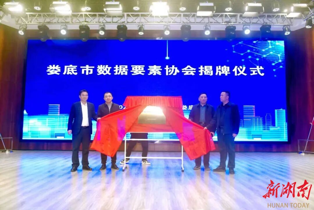 娄底市数据要素协会正式揭牌成立
