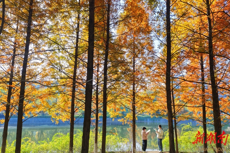 ​校园冬景如画