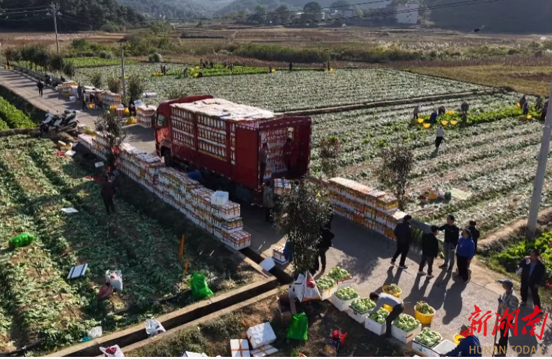 江华鹅塘村丰收图鉴