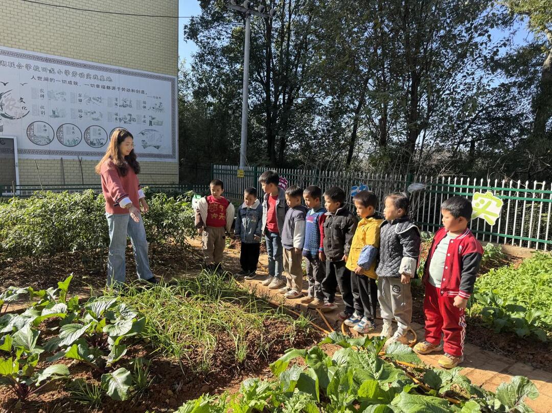 泉湖联合学校回龙小学开展蔬菜认知实践活动