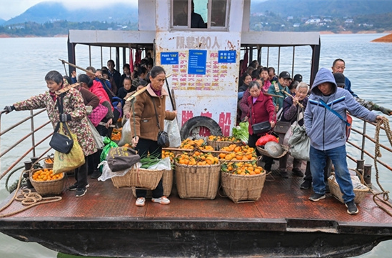 Villagers Take Boat to Transport Citrus Fruit for Sales