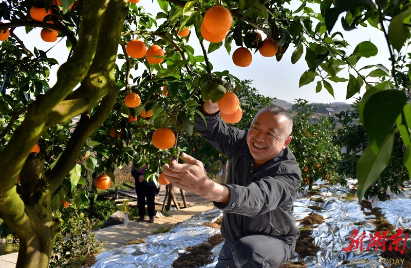 身残志坚干产业 致富助残同增收