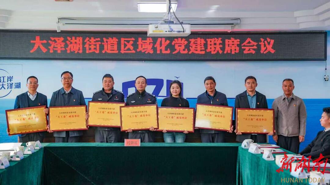 望城区大泽湖街道：举行区域化党建联席会议 共绘协同发展新蓝图