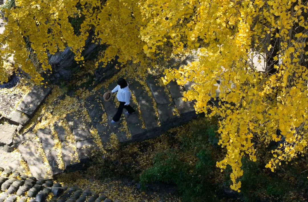 转发收藏！故宫初冬鎏金壁纸上新了