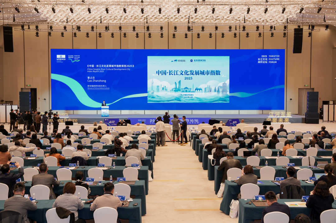 文旅赋能，助岳阳打造长江文化发展潜力型城市