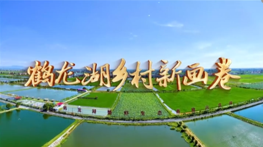 【“与理有岳·新思想青年说”】（第二辑）第二十七期：鹤龙湖乡村新画卷