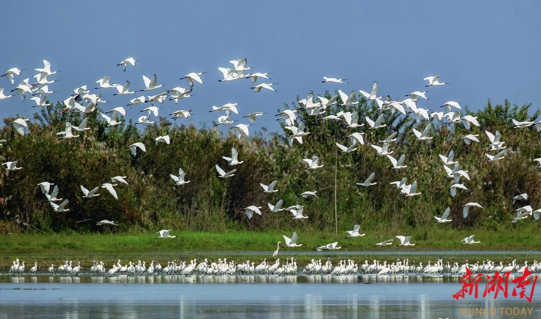 常德水环境质量呈“一升两降”良好态势@湖南日报