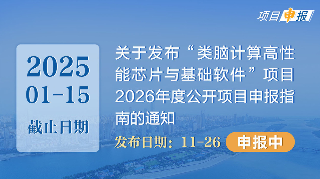 项目申报丨关于发布“类脑计算高性能芯片与基础软件”项目2026年度公开项目申报指南的通知